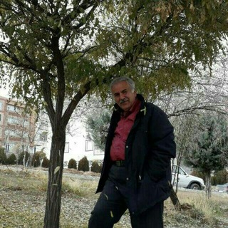 Telegram profile photo for دیوانے ســــه بـــوور