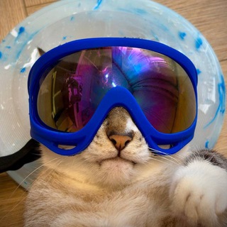 Telegram profile photo for ᴀхʏᴇнный мᴀтᴘоскин