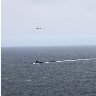 Telegram profile photo for Doomsday Maritime