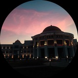 Telegram profile photo for Vital Studies