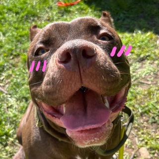 Telegram profile photo for чудовище и лоло
