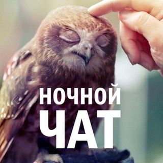 Telegram group profile photo for НОЧНОЙ ЧАТ ⚜️МО | МОСКВА⚜️