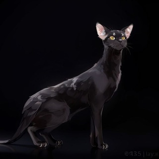 Telegram profile photo for Швейная мастерская "Black cat"🪡
