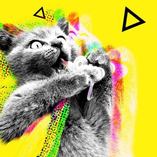 Telegram profile photo for Kedilerin Hastasıyım