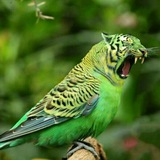 Telegram profile photo for Мемантин