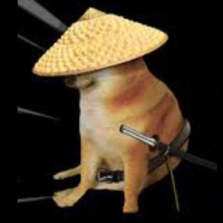 Telegram profile photo for Cheems
