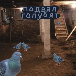 Telegram profile photo for ⲡⲟⲇⲃⲁⲗ ⲅⲟⲗⲩⳝяΛⲧ 🕊️