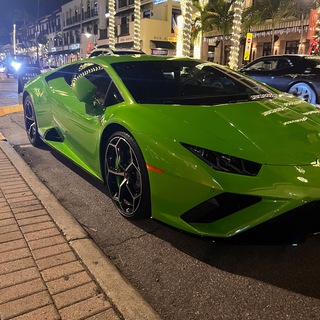 Telegram profile photo for novaks' vouches