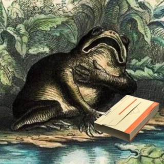 Telegram profile photo for Дайджест книжкових акцій 📚🦅
