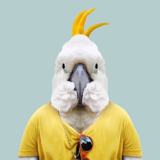 Telegram profile photo for Забавные Попугаи