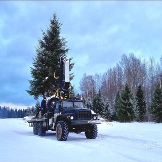 Telegram profile photo for Сервис БиС питомник деревьев
