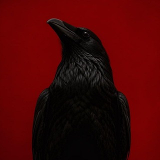 Telegram profile photo for خانُومِ کَلٰاغْ | Lady Crow