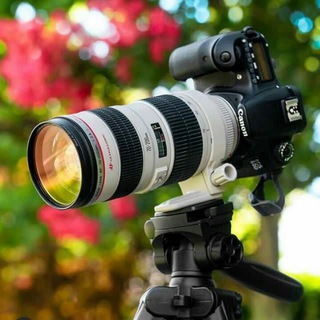 Telegram profile photo for Fab picture