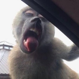 Telegram profile photo for π΄ππ πππππ πππππ