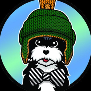 Telegram profile photo for MARVIN | THE FIRST DOG WIF A HAT