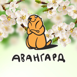 Telegram profile photo for ЗК Авангард