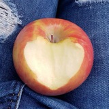 Telegram profile photo for Branch