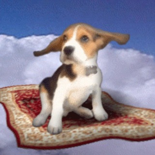 Telegram profile photo for джипэг