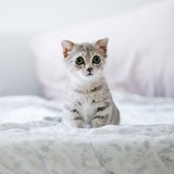 Telegram profile photo for мемелудка