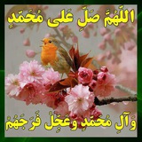 Telegram profile photo for یا مهدی