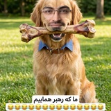 Telegram profile photo for ایالات متحده کابوس گوهجمن غیر علمی هما