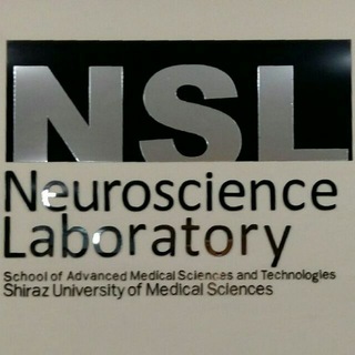 Telegram profile photo for NSL