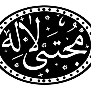 Telegram profile photo for مجتبی لاله | MojtabaLaleh