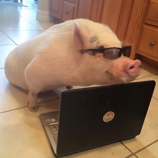 Telegram profile photo for Куколдим медвежку