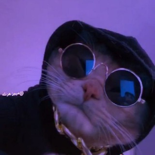 Telegram profile photo for ميمـز هرتلَـة.