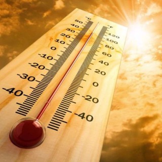 Telegram profile photo for Hot loads