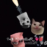 Telegram profile photo for Подвал ; ♡<3 ᵃⓛρ𝔢𝕟ᗷ𝓐尺 💗💋