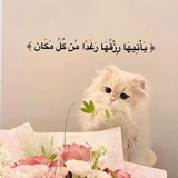 Telegram profile photo for كن أنت