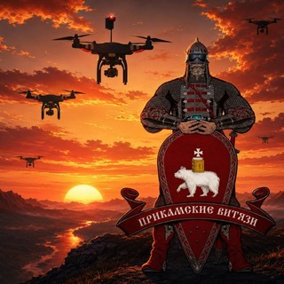 Telegram profile photo for Прикамские витязи