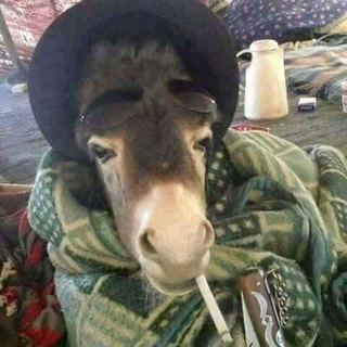 Telegram group profile photo for زنوج الاعتراف