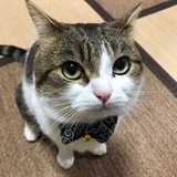 Telegram profile photo for ππππ_ππππποΈππππππππ§