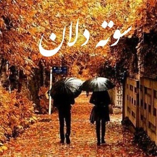 Telegram profile photo for ─┅═ঊঈ❁ سوته دلان❁ঊঈ═┅─ 