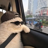 Telegram profile photo for Everyday life