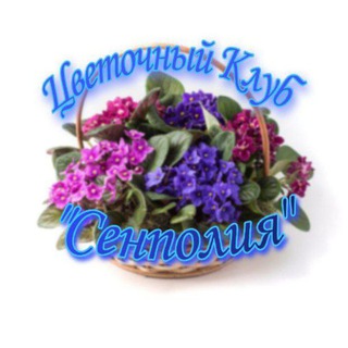 Telegram profile photo for Цветочный Клуб "Сенполия"🌺