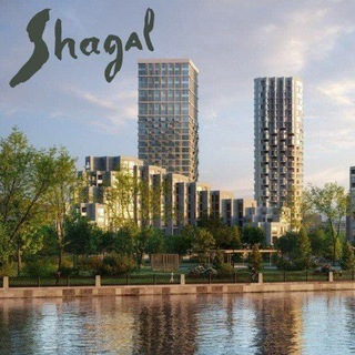 Telegram group profile photo for Shagal City. Соседи