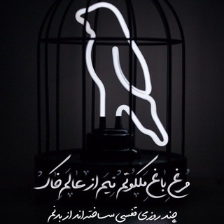 Telegram profile photo for Moh3en