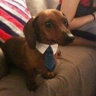 Telegram profile photo for Творческий пубертат