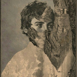 Telegram profile photo for Silent Island