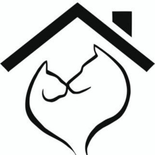 Telegram profile photo for Leales.org 🐾 » Gatos 🐱 en adopción 🏠