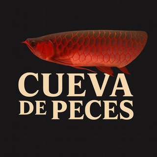 Telegram profile photo for Cueva de Peces