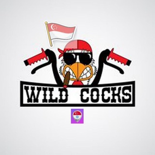 Telegram profile photo for πΈπ¬π΅ Singapore Bikers