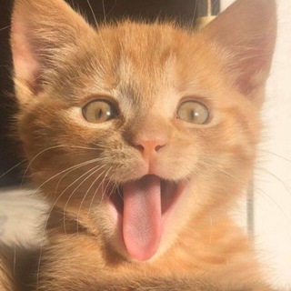 Telegram profile photo for ПЕРЕХОДНИК minutu