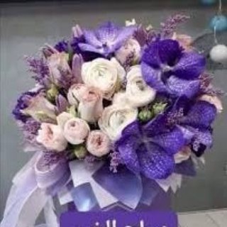 Telegram profile photo for طالبات الثاني متوسط ...الادارة
