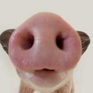Telegram profile photo for delta devlogs