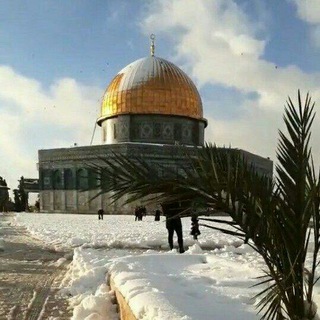 Telegram profile photo for السيرة النبوية ل أحمد عامر"💚