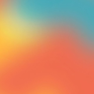 Telegram profile photo for guns & borders